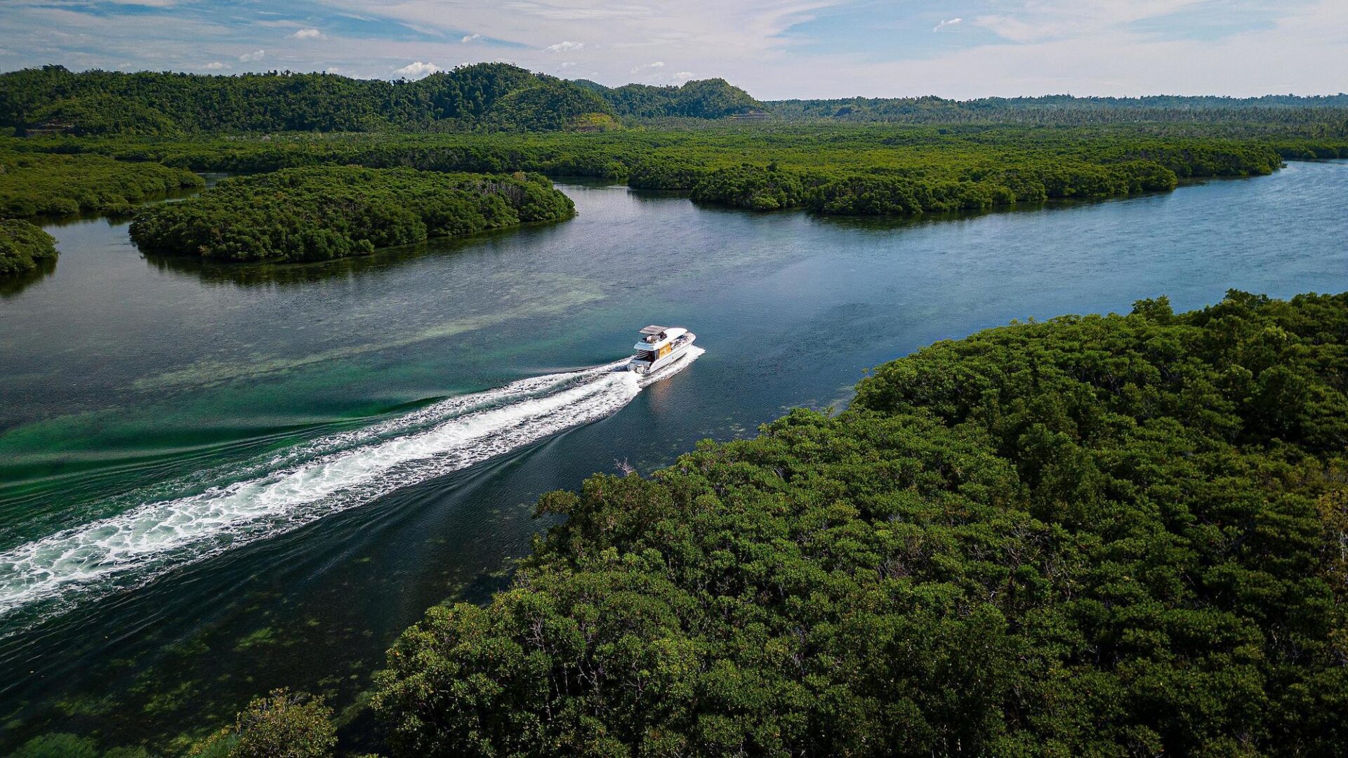 Nay Palad Boat in the mangroves