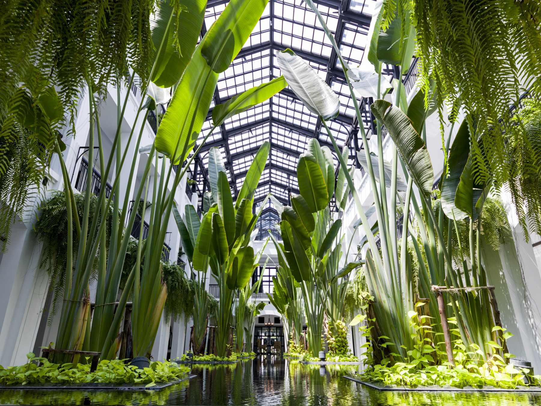 TheSiam Atrium 2